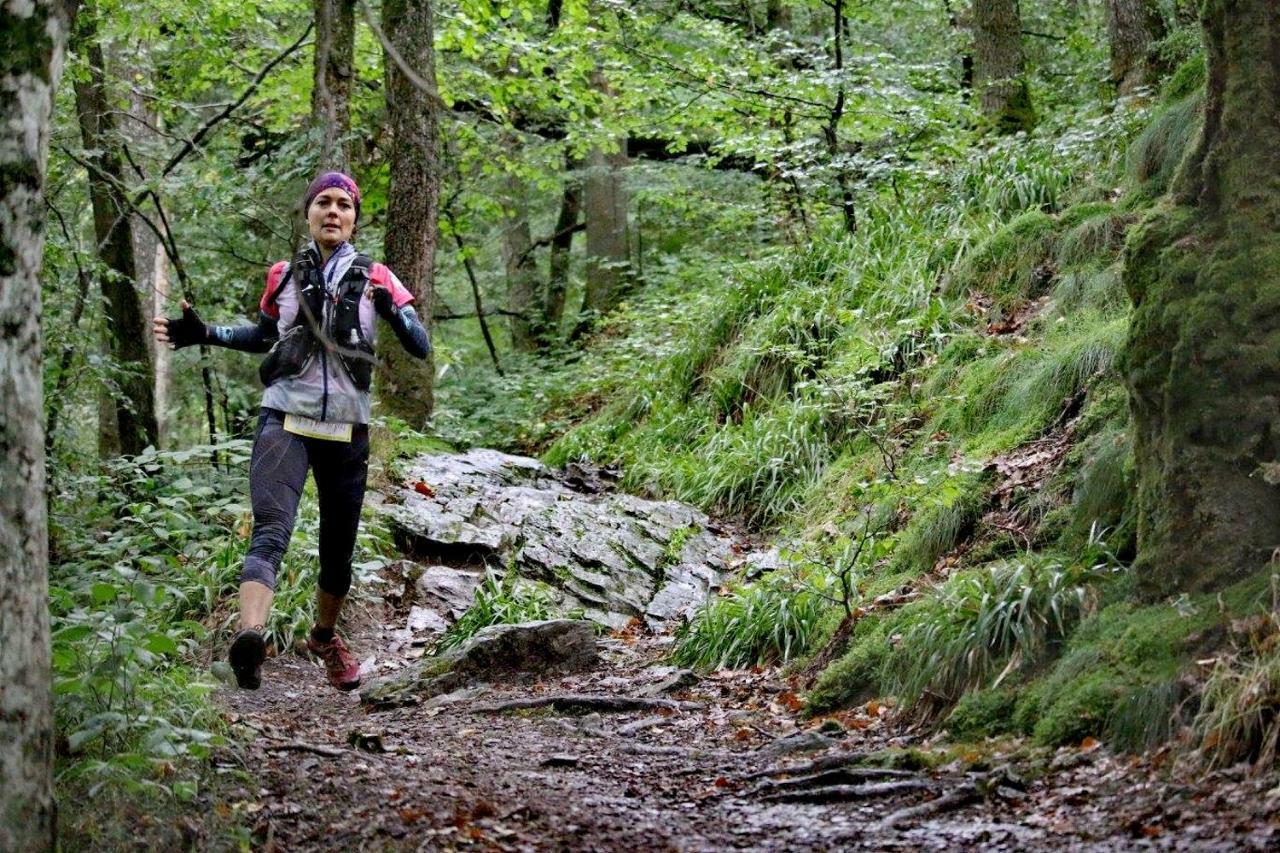 Abso-Gite Houffalize Esterno foto